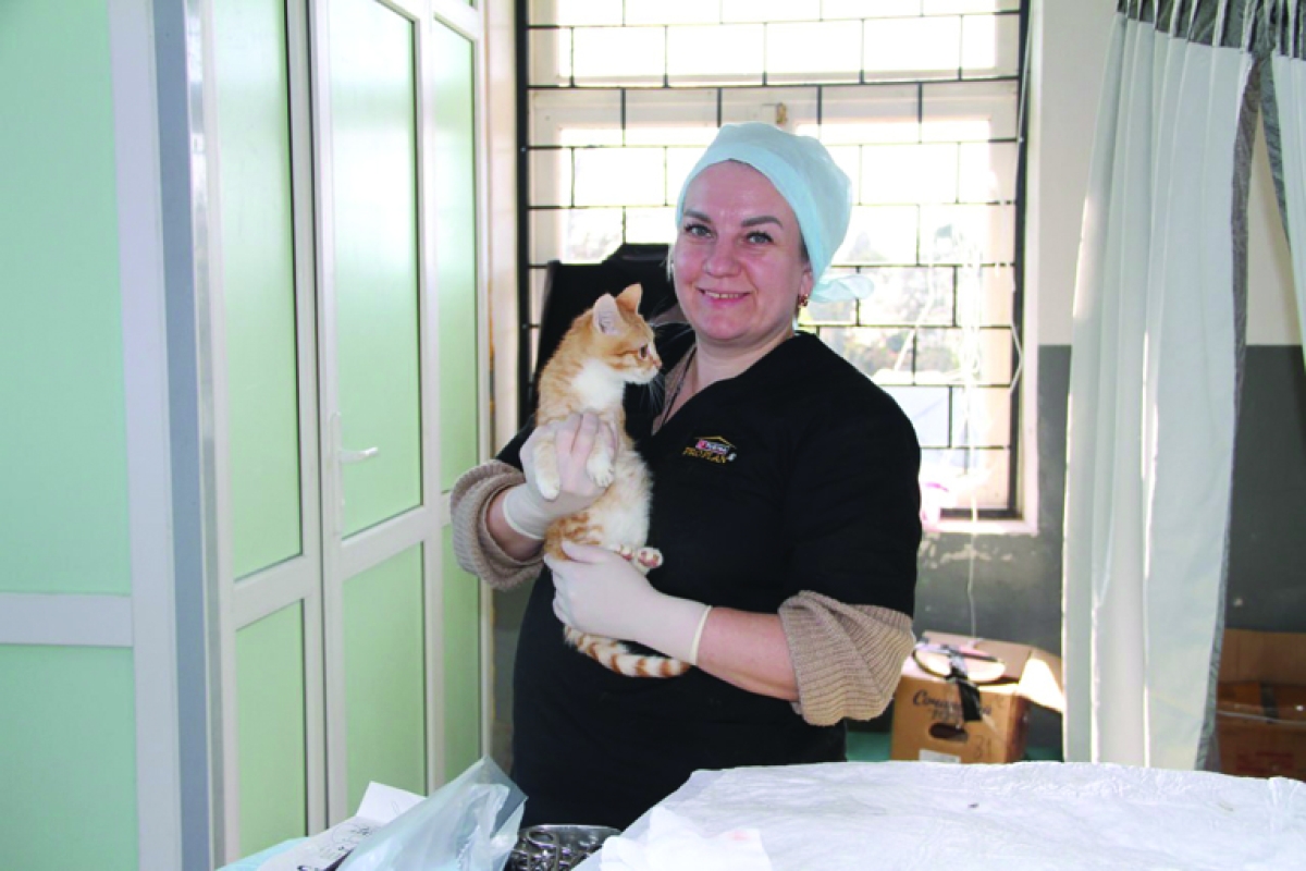 &laquo;Ветеринары без границ&raquo;  снова оказывают помощь Абхазии