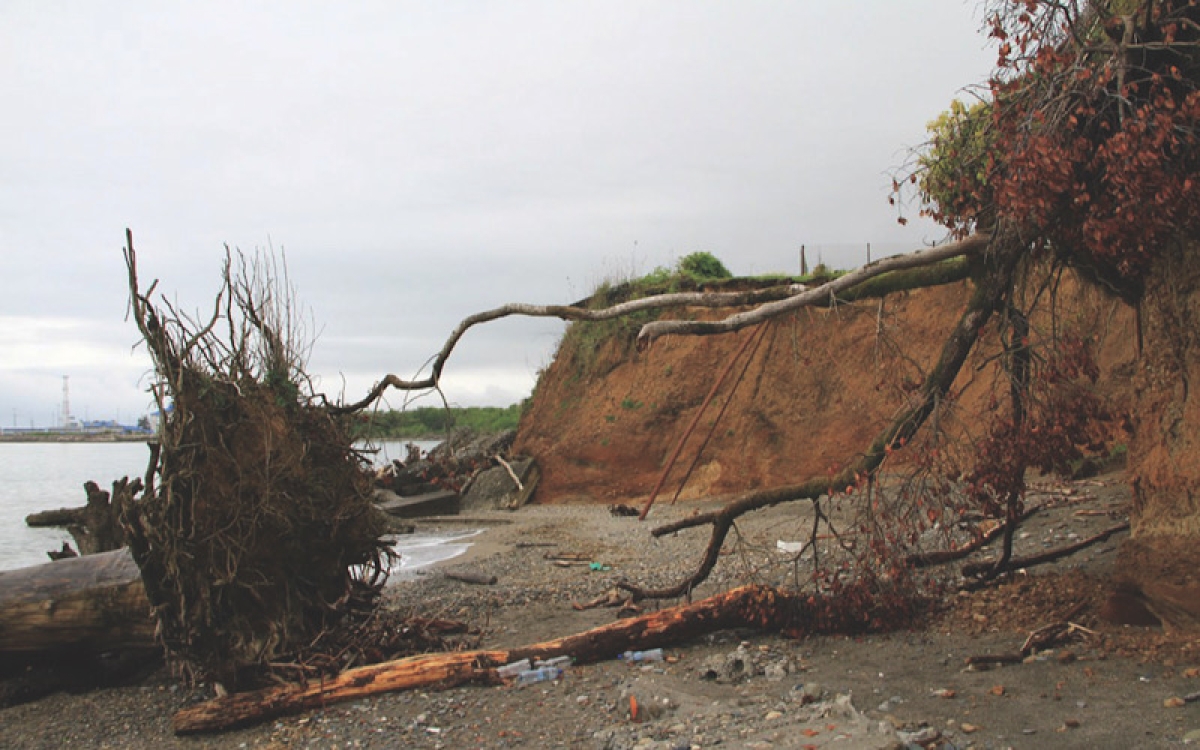 Исправлять ошибки человеку помогает наука