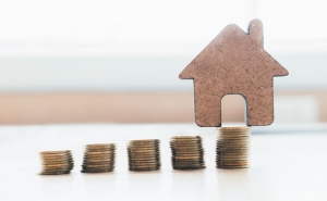 Для реализации целевой программы &laquo;Жилище&raquo;