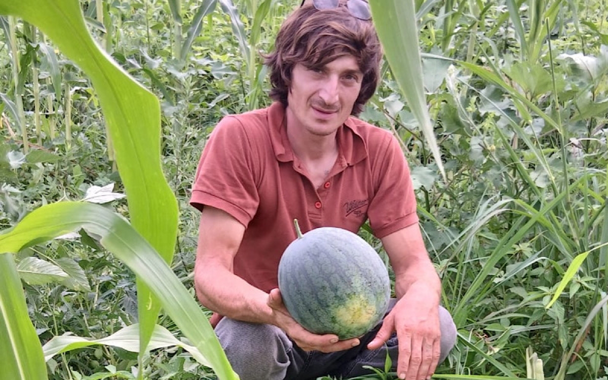 Время солнечной бахчи