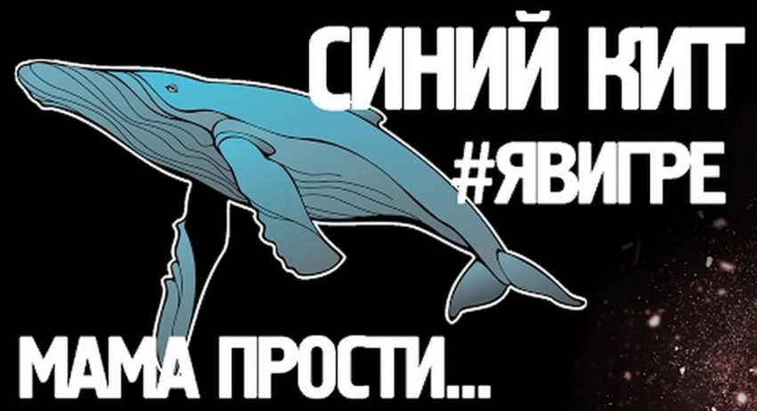 Игра, которая убивает. «Синий кит» пришел в Абхазию?