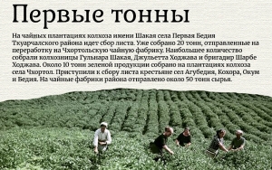 Архив 1995 г…