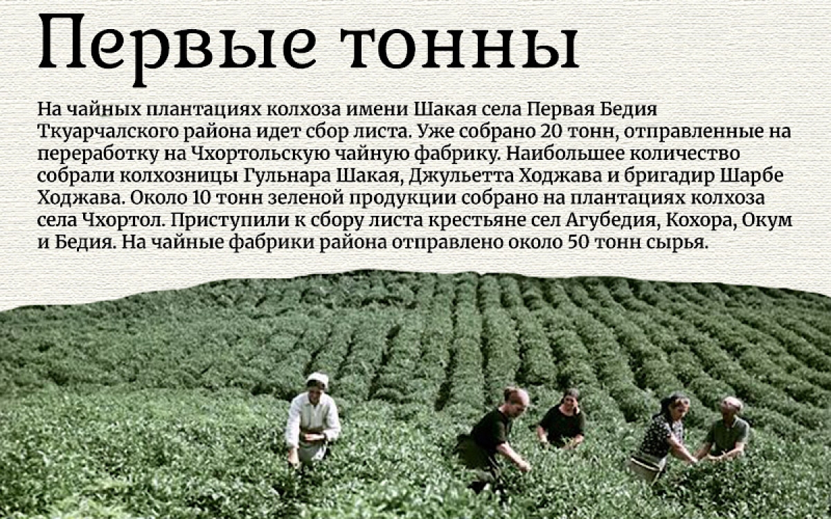 Архив 1995 г…