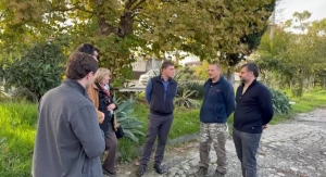 Выездная комиссия столичной администрации проводит осмотр состояния деревьев в Сухуме