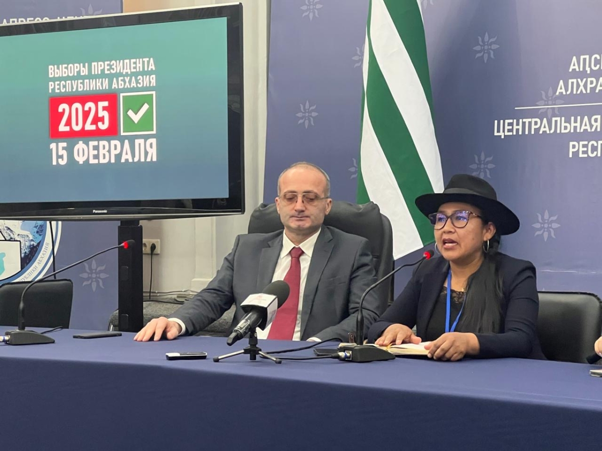 Выборы-2025. Мнения между  наблюдателей