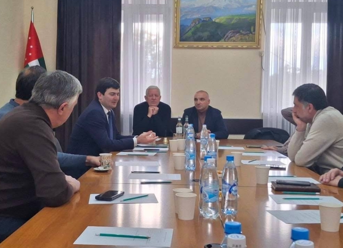 Члены Общественной палаты провели встречу с начальником Государственной миграционной службы Саидом Цвинария